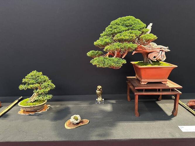 550324223_1420229563444024_4657561384418149879_n