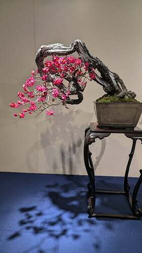 628186432_1549005223899790_5899707133843931909_n