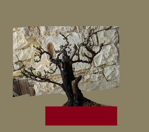 ___________DSCN01-1virt5