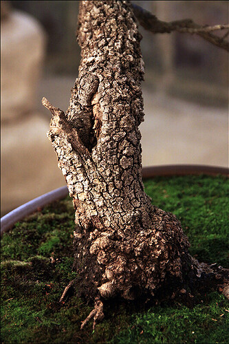 2025.05.24(106)copie1