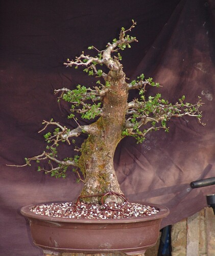 dsc00820