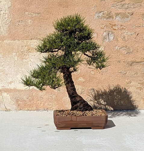 PXL_20250318_102158368