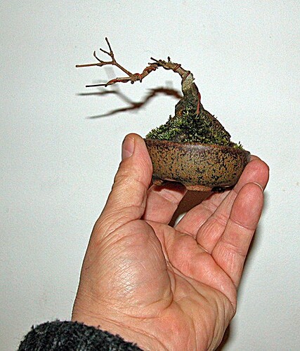 7 b