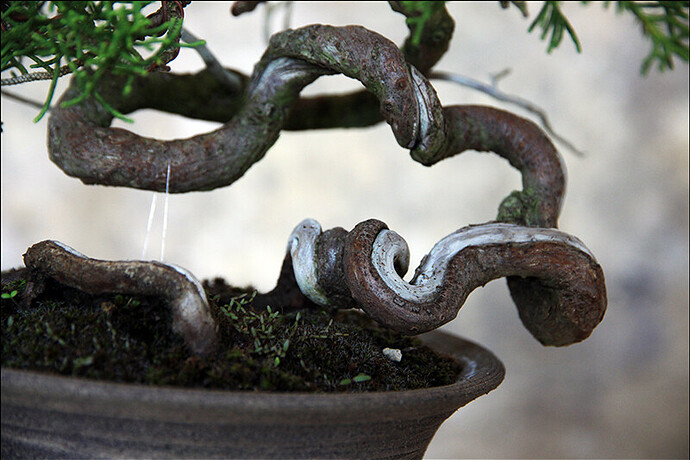 2025.05.24(17)copie1