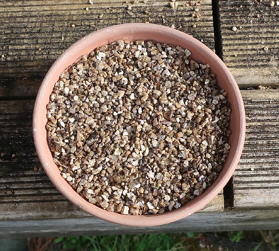 pin thunberg semis 2024 03 19 (1)