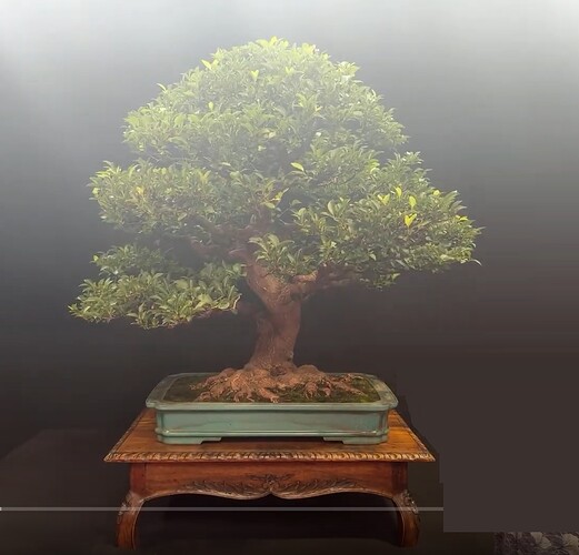 ___________DSCN01virt1-19