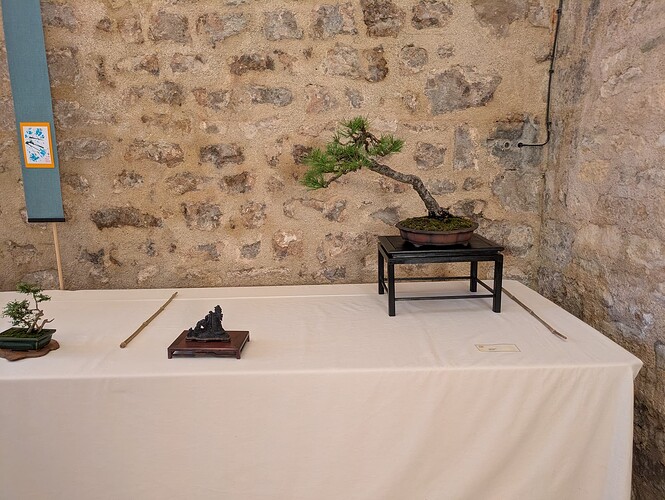 PXL_20250525_163839137