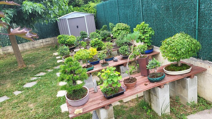 20250623_184643_resized