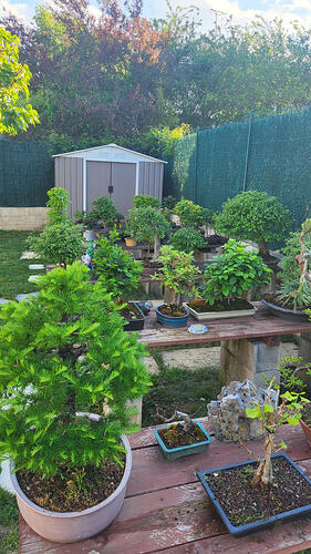 20260420_190423_resized