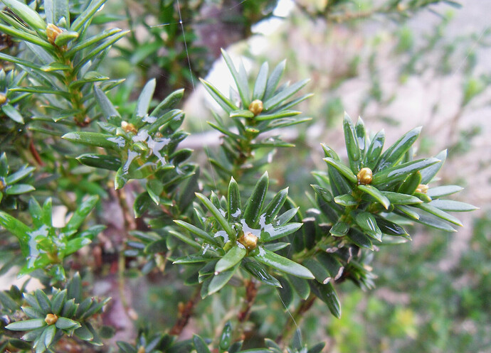 Capture d’écran 2025-11-09 à 15.25.52