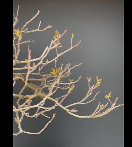 ___________DSCN130