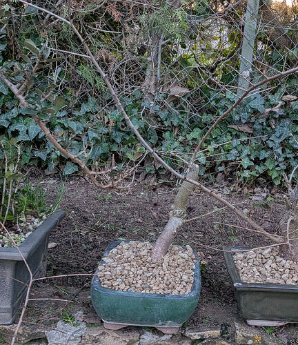 PXL_20260220_161739607