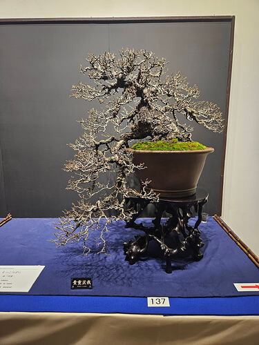 631030065_3344381169060611_6724175138157108992_n