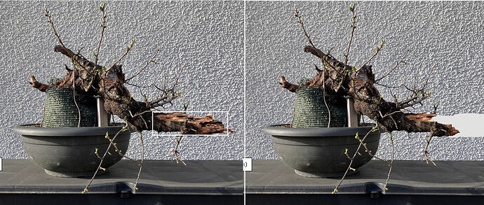 ___________DSCN01-1virt4