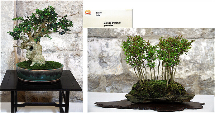 2025.05.24(montage34-36)1