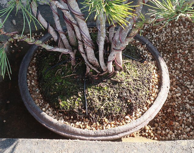 pin flexible 2026 03 04 (7)