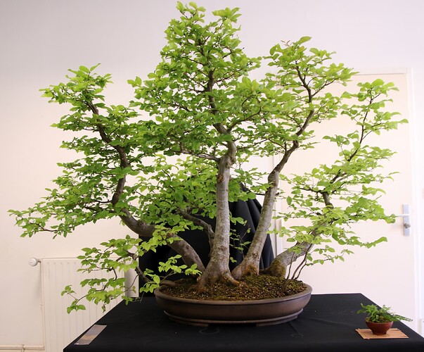 2025-05 Marcoussis (2)