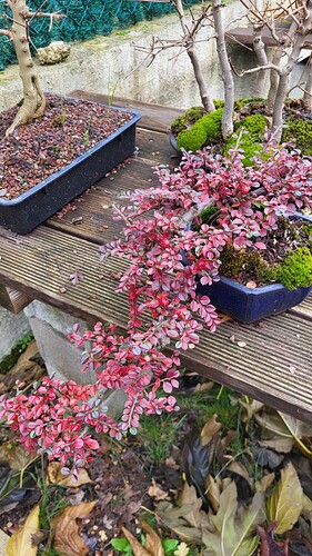 20251206_120640_resized