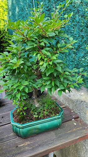 20250622_092834_resized