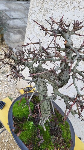 20251224_155248_resized