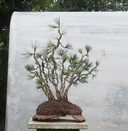 pin flexible 2025 11 27 (8)