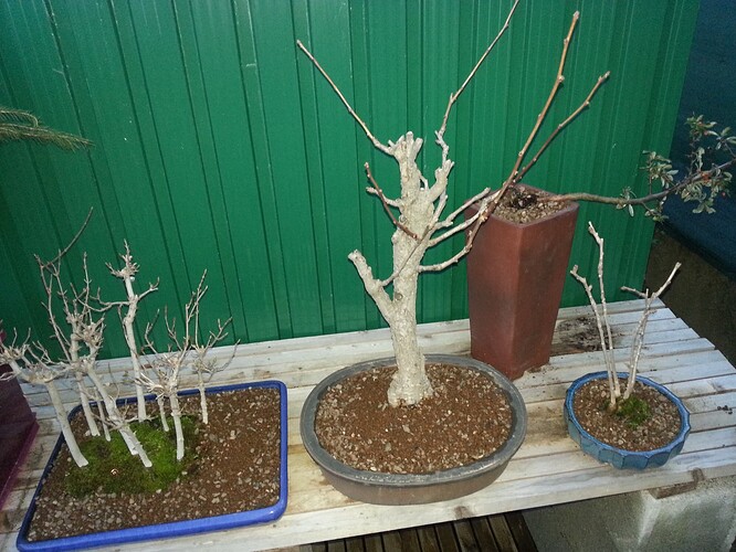 20140303_183701