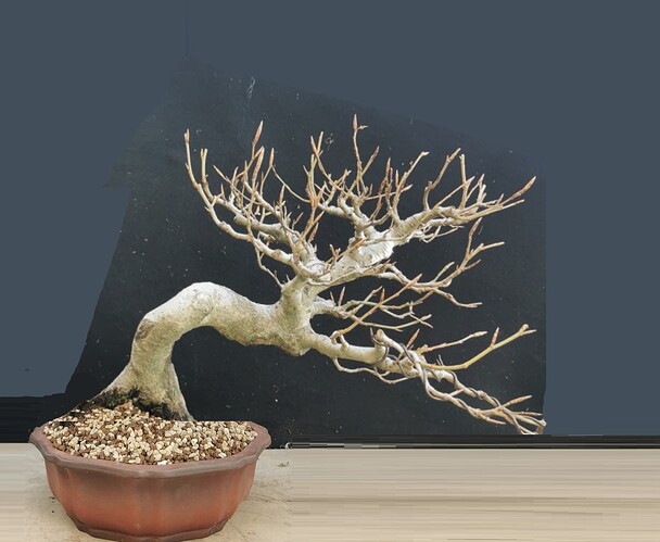 ___________DSCN132virt5