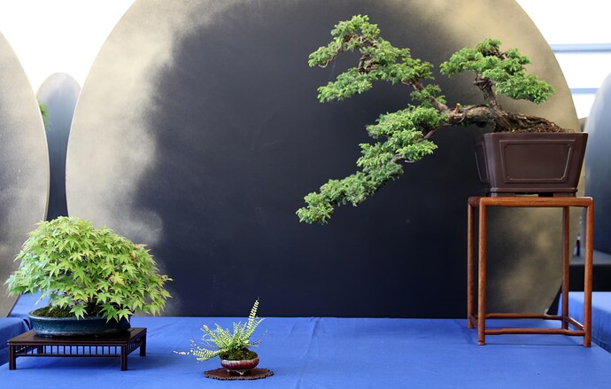 2025-05 Marcoussis (9)