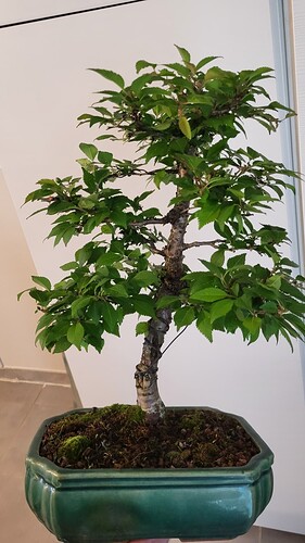 20250419_164314_resized