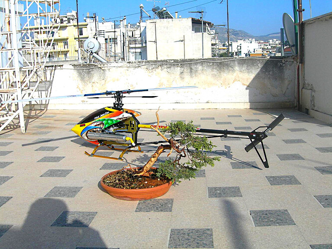 zachos  heli 020