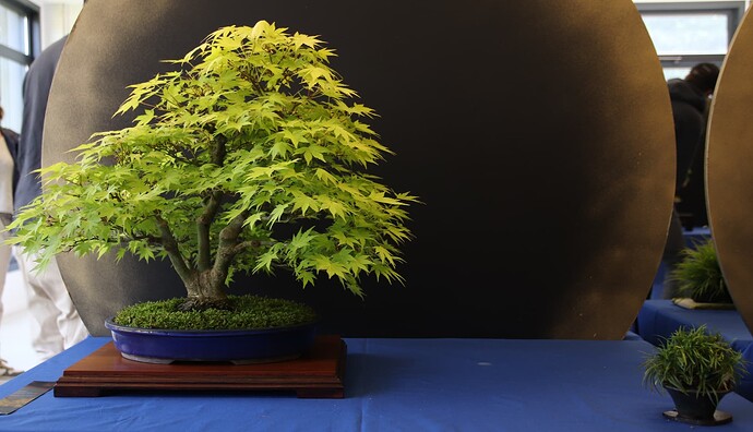 2025-05 Marcoussis (7)