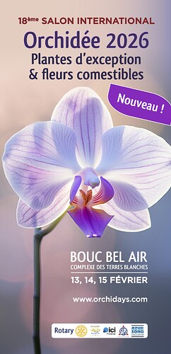 Flyer Orchidée - 2026
