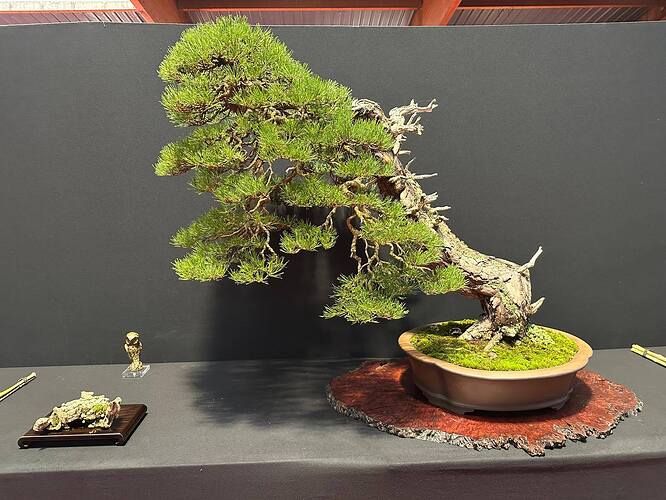 550563277_1420229626777351_2449543638263764149_n