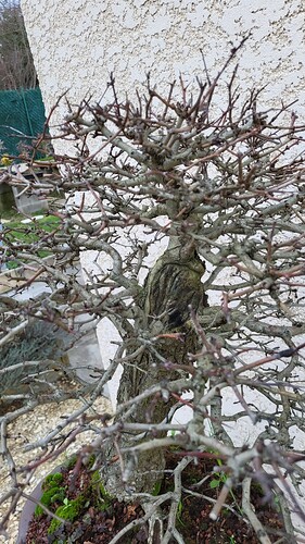 20251224_155403_resized