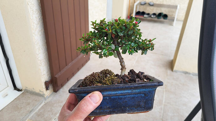 20260420_154344_resized