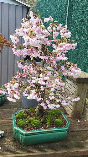 20260308_105842_resized