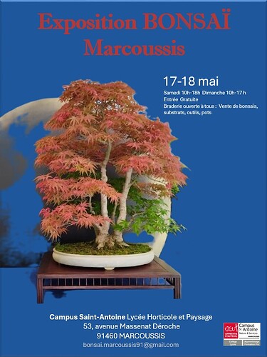 17 MAI