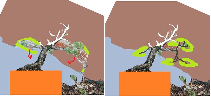 ___________DSCN01virt4