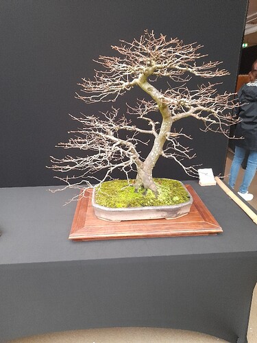 5f8472b5-2e41-4910-ba44-17110ac9fc3f-copied-media~2