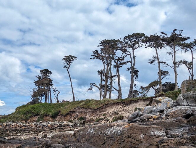 2d15a7eb-9837-4aed-be83-1fa0a8a72d1b-1_all_1473