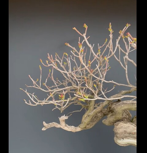 ___________DSCN127