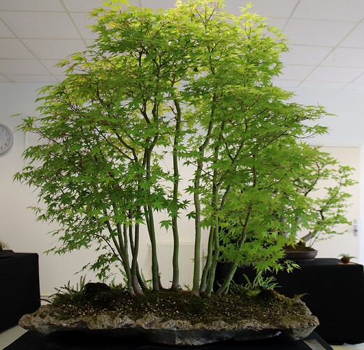 2025-05 Marcoussis (3)