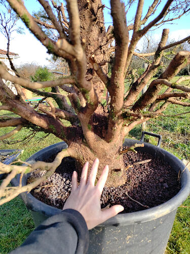 IMG_20260122_150407897 - Copie