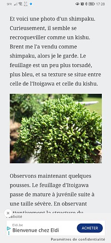 Screenshot_20251010_172836_com.android.chrome