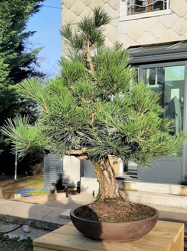 a62a83b26acacc88fad54b1bd5c7cbdc5e1634cf