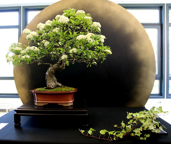 2025-05 Marcoussis (34)