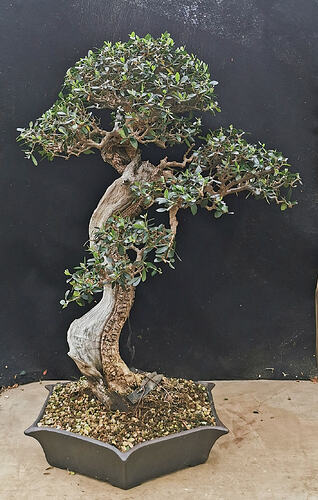 2026-03-29-15-35-26-312