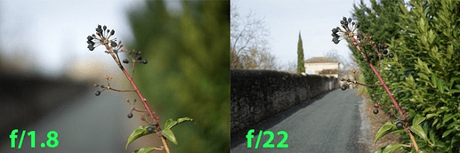 Capture d’écran 2025-10-20 à 16.38.09