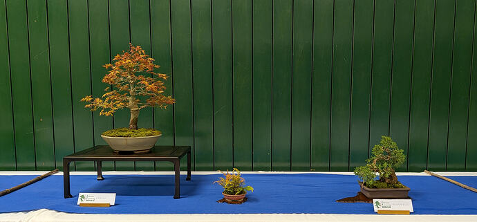 PXL_20260301_103528303.MP