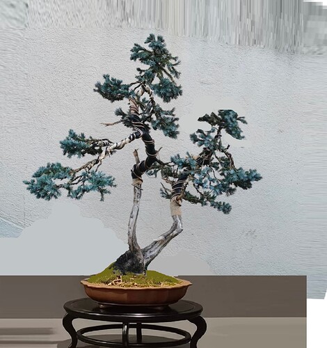 ___________DSCN01virt3